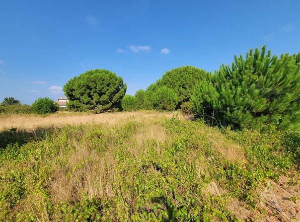LATOUR BAS ELNE, Occitanie 66200