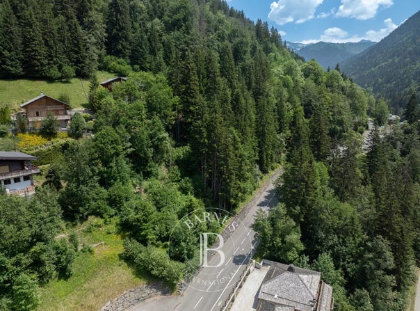 Morzine (Avoriaz), Rhône-Alpes 74110