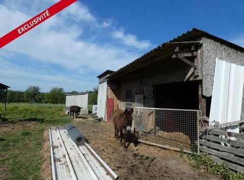 Alençon, Basse-Normandie 61000