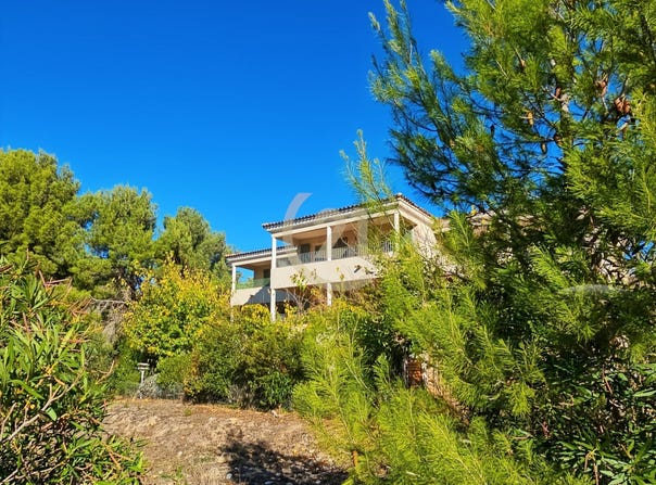 Patrimonio, Corsica 20253