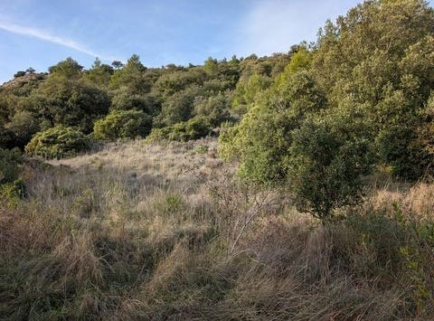 Rieux-En-Val, Languedoc-Roussillon 11220