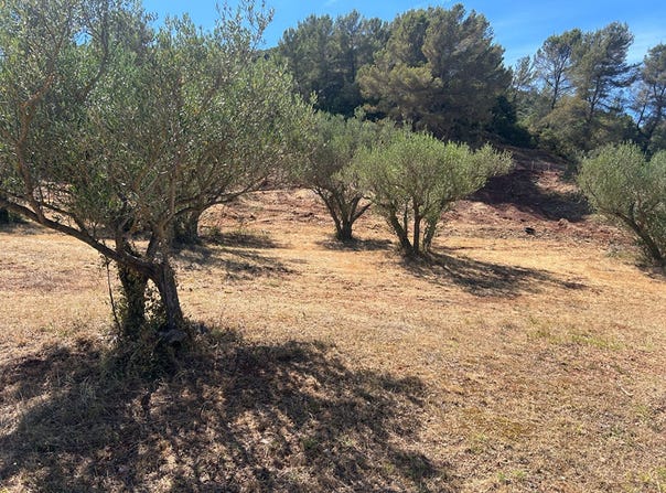 Gonfaron, Provence-Alpes-Côte d'Azur 83590