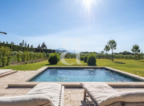 Vacqueyras, Provence-Alpes-Côte d'Azur 84190