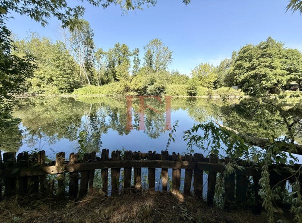 Morée, Loir-et-Cher 41160