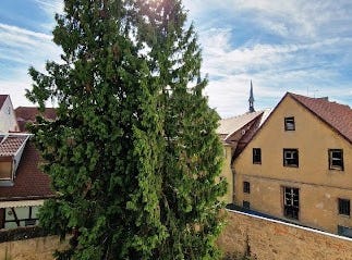 COLMAR, Grand Est 68000