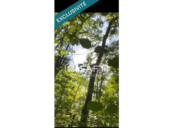 Morlanne, Aquitaine 64370