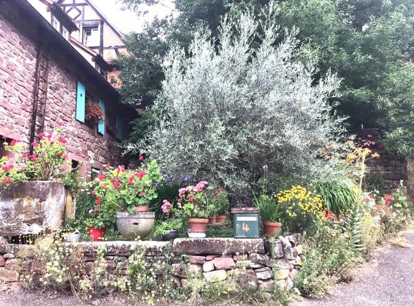 Sommerau, Alsace 67310