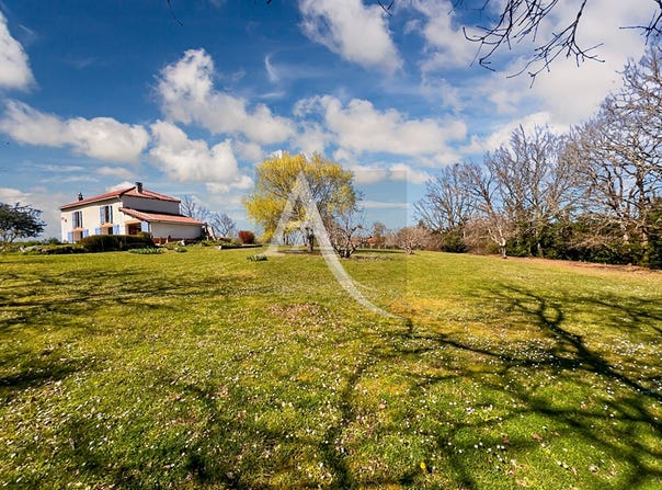 BELVEZE, Occitanie 82150