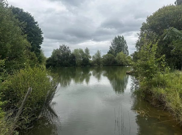 Saint-Cyr-la-Rosière, Orne 61130
