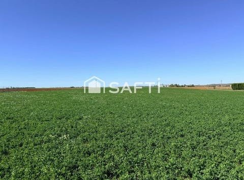 Angliers, Poitou-Charentes 86330