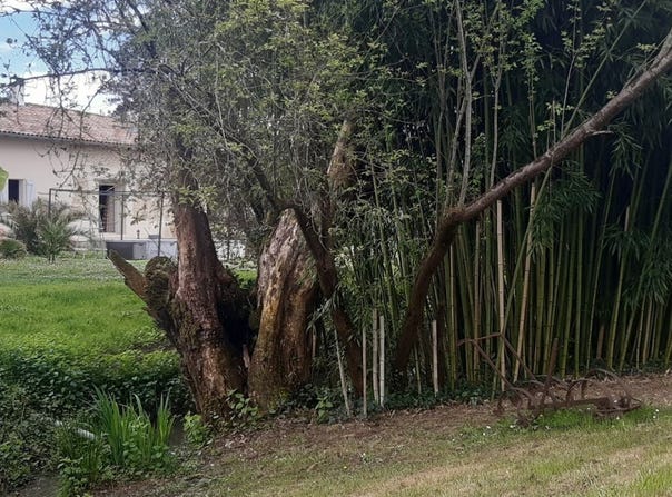 Lamothe-Capdeville, Midi-Pyrénées 82130