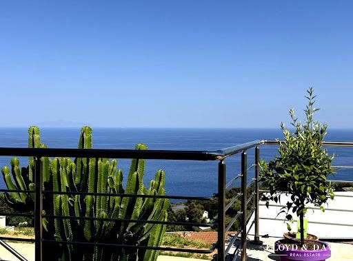 Brando, Corsica 20222