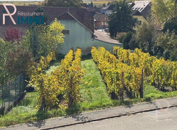 Wettolsheim, Haut-Rhin 68920