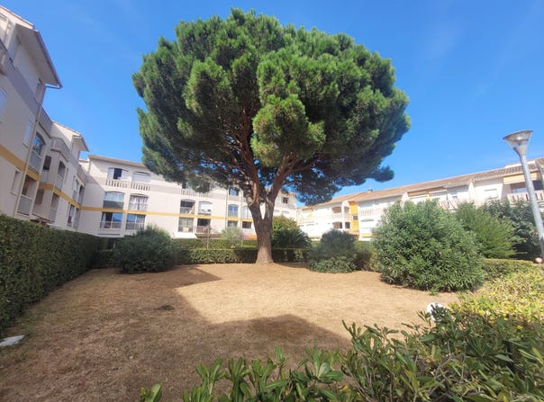 Argelès-sur-Mer, Languedoc-Roussillon 66700