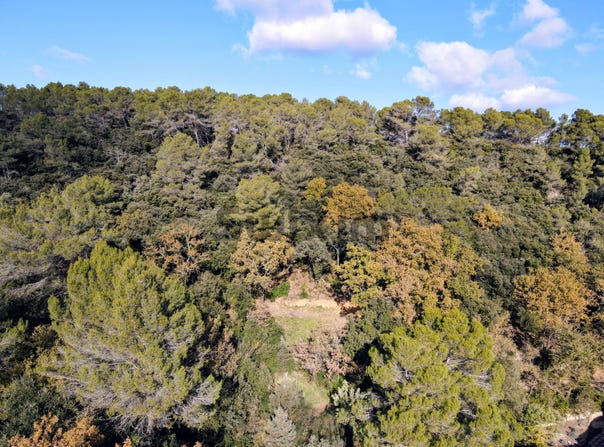 Serviers-et-Labaume, Occitanie 30700