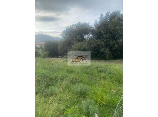 Calenzana, Haute-Corse 20214