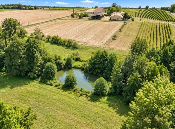 Baignes-Sainte-Radegonde, Poitou-Charentes 16360