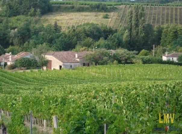 Pujols, Gironde 33350