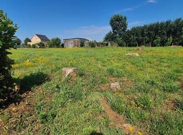 Tregomeur, Bretagne 22590
