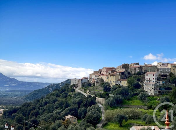 Zilia, Corsica 20214