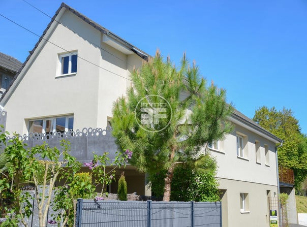 Buschwiller, Grand Est 68220