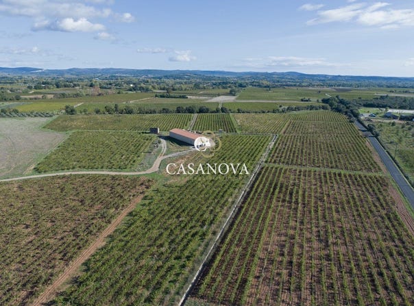 Saint-André-de-Sangonis, Languedoc-Roussillon 34725