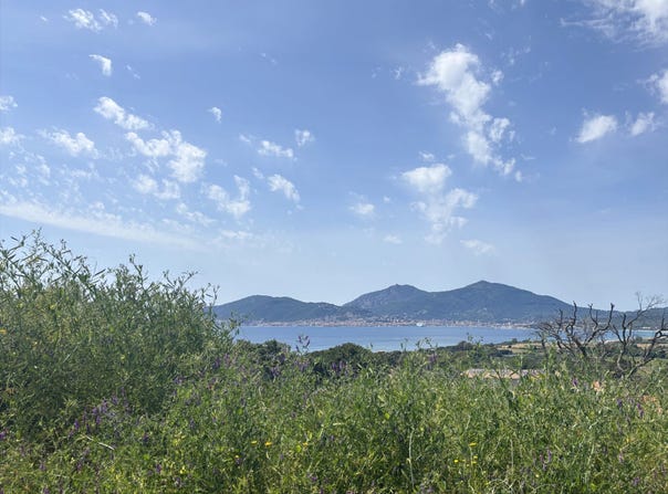 Pietrosella, Corsica 20166