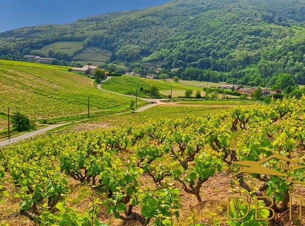 Juliénas, Rhône-Alpes 69840