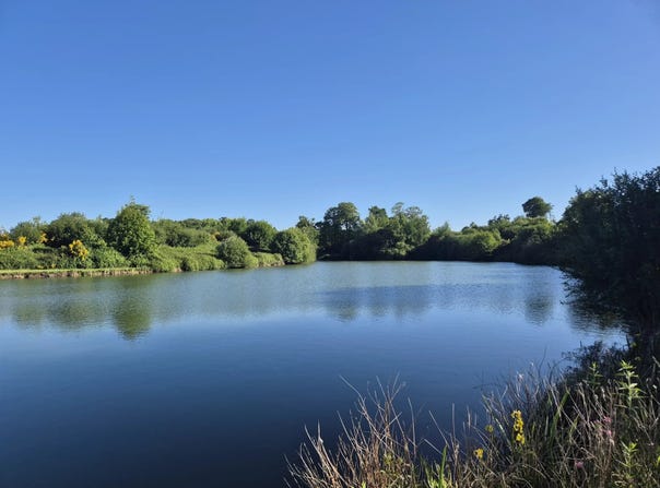 La Pellerine, Mayenne 53220
