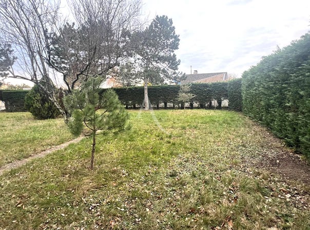 SAINT LOUP CAMMAS, Occitanie 31140