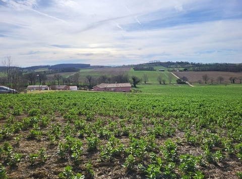 PUYCASQUIER, Midi-Pyrénées 32120