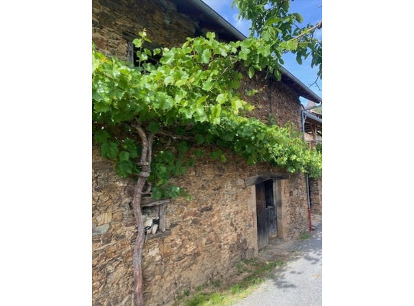 Grand-Vabre, Midi-Pyrénées 12320