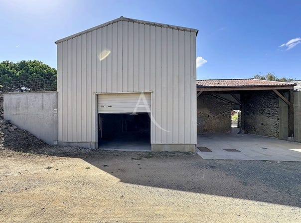 Thouarcé, THOUARCE, Pays de la Loire 49380