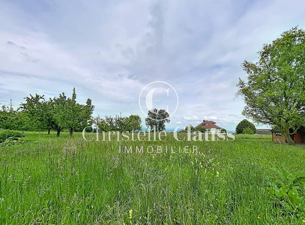 FOLGENSBOURG, Grand Est 68220
