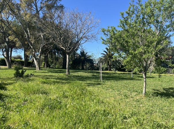 Perpignan, Languedoc-Roussillon 66000