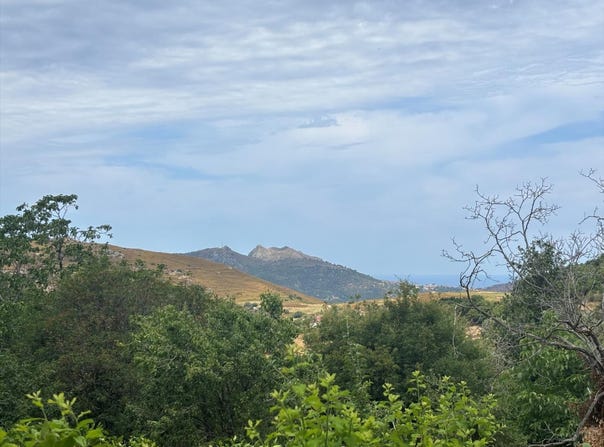 Nessa, Corsica 20225