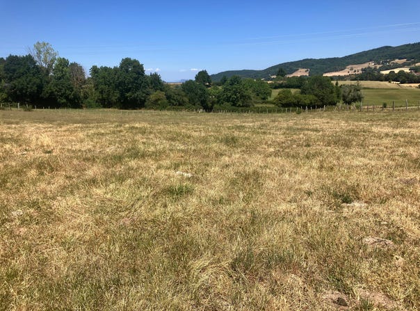 Châbons, Auvergne-Rhône-Alpes 38690