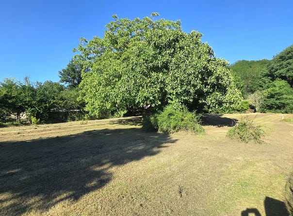 Saverdun, Ariège 09700
