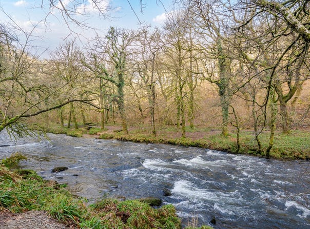 Somerset, England TA22 9QA