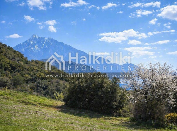 Megali Panagia, Central Macedonia 63076