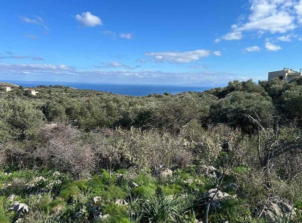 Paleloni, Crete 73008