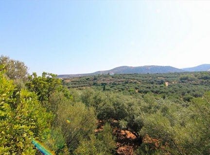Vrachasi, Lasithi Prefecture 72100