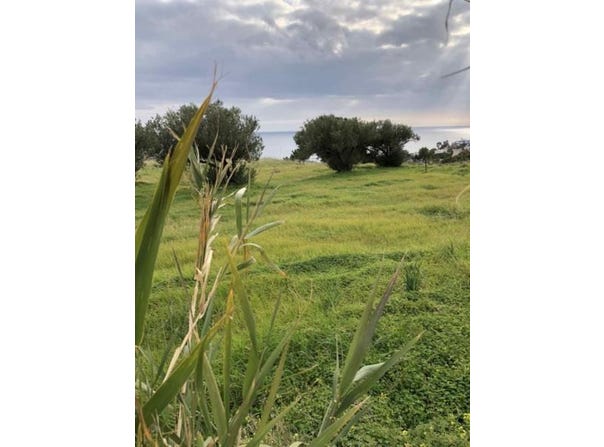 Koutsouras, Crete 72055