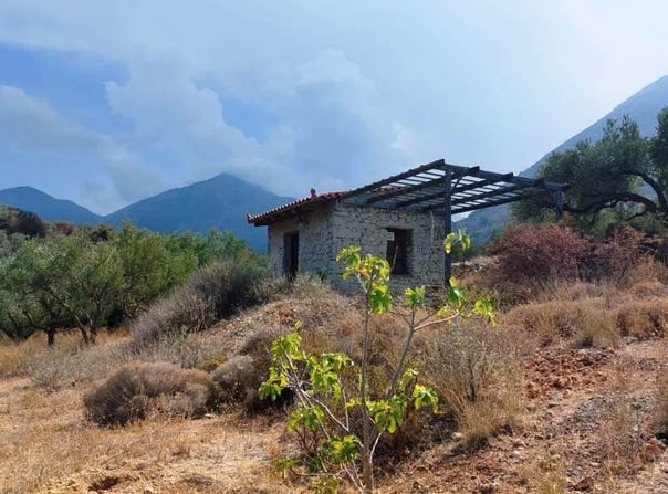 Mochlos, Crete 72057