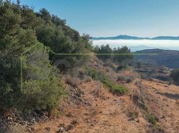 Paros, South Aegean 84400