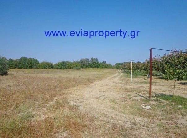 Neochori, Central Greece 34200