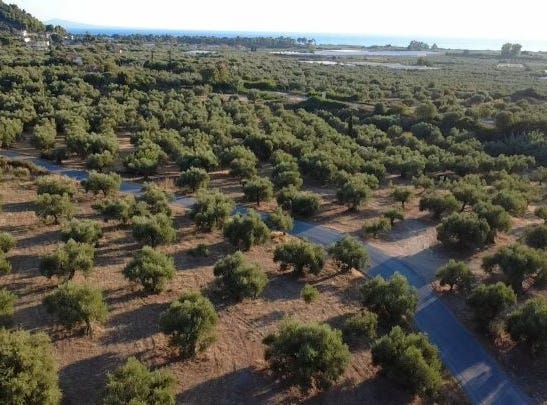 Avlona, Aegean 24011