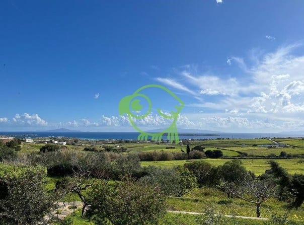 Paros, South Aegean 84400