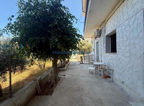 Chania, Kríti 731 34