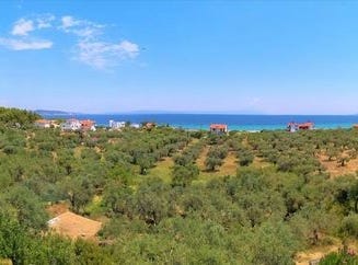 Sithonia, Chalkidiki 63078